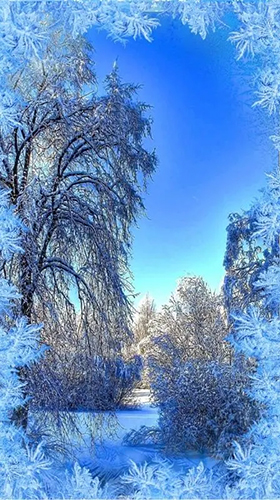 Télécharger le fond d'écran animé gratuit Chute de neige: Forêt . Obtenir la version complète app apk Android Snowfall: Forest pour tablette et téléphone.