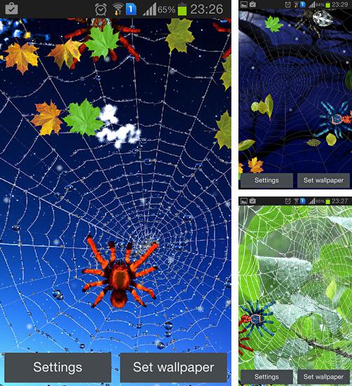 In addition to live wallpaper Fireflies for Android phones and tablets, you can also download Spider for free.
