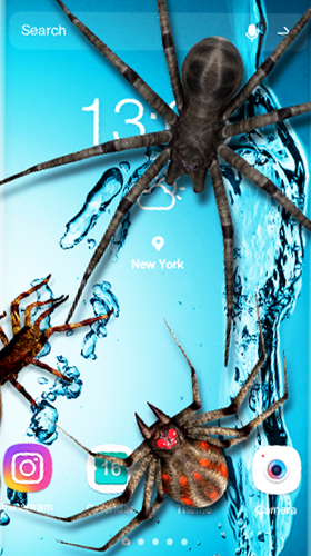 Скриншот Spider 3D by Weather Widget Theme Dev Team. Скачать живые обои на Андроид планшеты и телефоны.