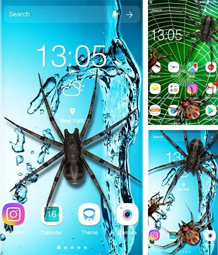 Kostenloses Android-Live Wallpaper Spinne 3D. Vollversion der Android-apk-App Spider 3D by Weather Widget Theme Dev Team für Tablets und Telefone.