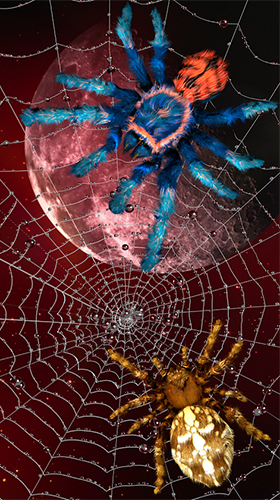 Spider by Cosmic Mobile Wallpapers - скриншоты живых обоев для Android.