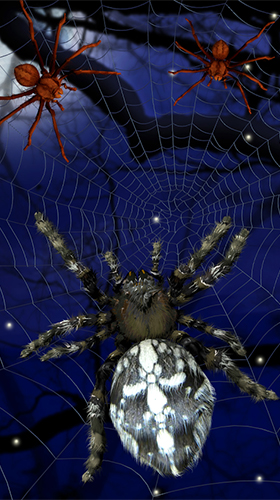 Як виглядають живі шпалери Spider by Cosmic Mobile Wallpapers.