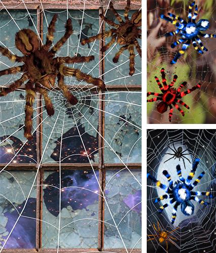 Spider by Cosmic Mobile Wallpapers - бесплатно скачать живые обои на Андроид телефон или планшет.