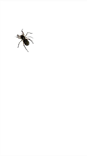 Écrans de Spider by villeHugh pour tablette et téléphone Android.
