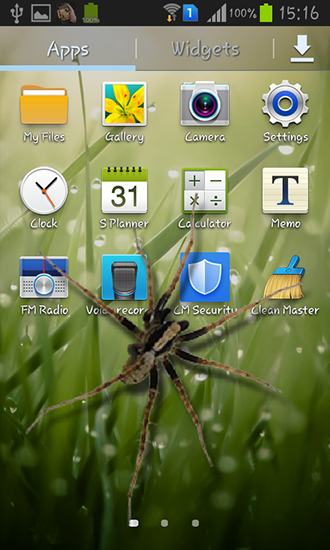 Spider in phone - безкоштовно скачати живі шпалери на Андроїд телефон або планшет.