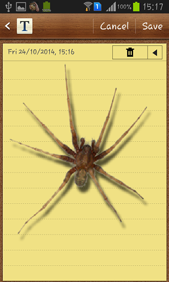 Screenshots of the Spider in phone for Android tablet, phone.