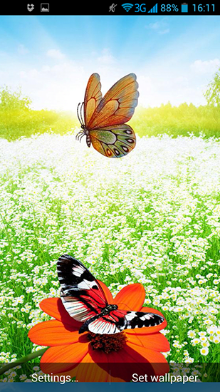 Écrans de Spring butterflies pour tablette et téléphone Android.