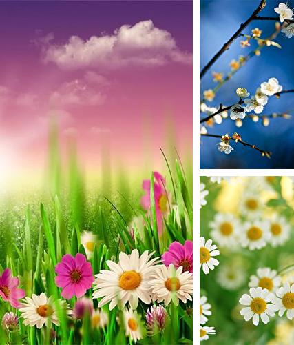 Kostenloses Android-Live Wallpaper Frühling. Vollversion der Android-apk-App Spring by HQ Awesome Live Wallpaper für Tablets und Telefone.