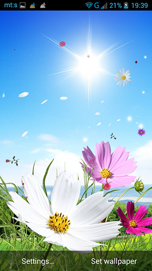 Papeis de parede animados Primavera para Android. Papeis de parede animados Spring by Pro live wallpapers para download gratuito.