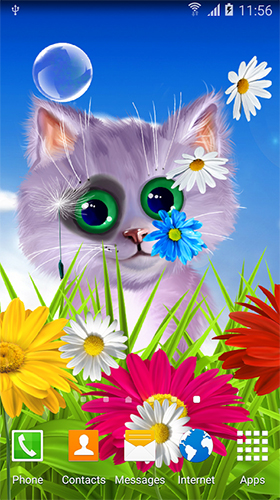 Fondos de pantalla animados a Spring cat para Android. Descarga gratuita fondos de pantalla animados Gatito de primavera.