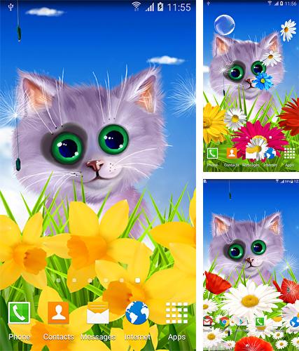 Télécharger le fond d'écran animé gratuit Chat de printemps . Obtenir la version complète app apk Android Spring cat pour tablette et téléphone.