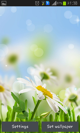 Spring flower - безкоштовно скачати живі шпалери на Андроїд телефон або планшет.