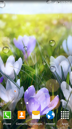 Screenshots of the Spring flowers for Android tablet, phone.
