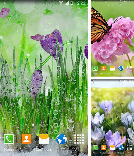Download live wallpaper Spring flowers for Android. Get full version of Android apk livewallpaper Spring flowers for tablet and phone.