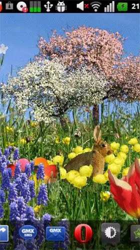 Écrans de Spring flowers by SoundOfSource pour tablette et téléphone Android.