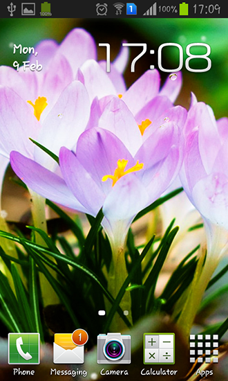 Spring flowers: Rain - бесплатно скачать живые обои на Андроид телефон или планшет.