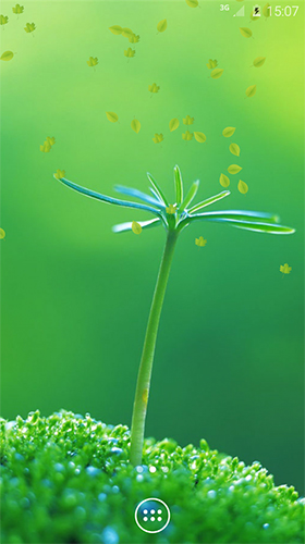 Download livewallpaper Spring greens for Android. Get full version of Android apk livewallpaper Spring greens for tablet and phone.
