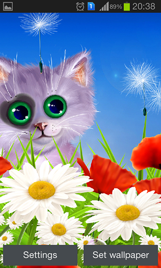 Descarga gratuita fondos de pantalla animados Primavera: Gatito  para Android. Consigue la versión completa de la aplicación apk de Spring: Kitten para tabletas y teléfonos Android.