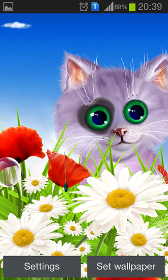 Screenshots of the Spring: Kitten for Android tablet, phone.