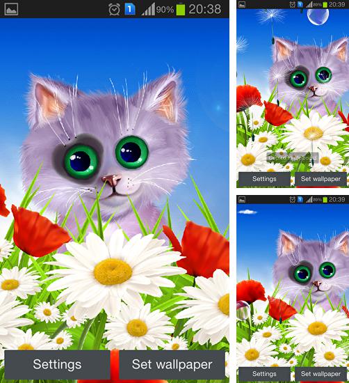 Descarga gratuita fondos de pantalla animados Primavera: Gatito  para Android. Consigue la versión completa de la aplicación apk de Spring: Kitten para tabletas y teléfonos Android.