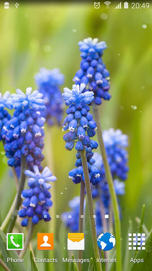 Як виглядають живі шпалери Spring landscapes.