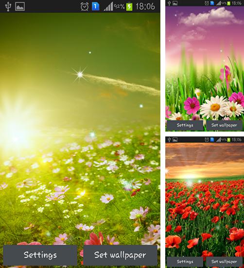 Kostenloses Android-Live Wallpaper Frühlingswiese. Vollversion der Android-apk-App Spring meadow für Tablets und Telefone.