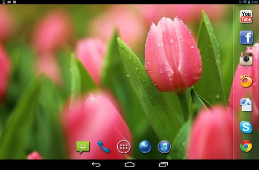 Spring rain - безкоштовно скачати живі шпалери на Андроїд телефон або планшет.