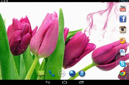 Fondos de pantalla animados a Spring rain para Android. Descarga gratuita fondos de pantalla animados Lluvia de primavera.