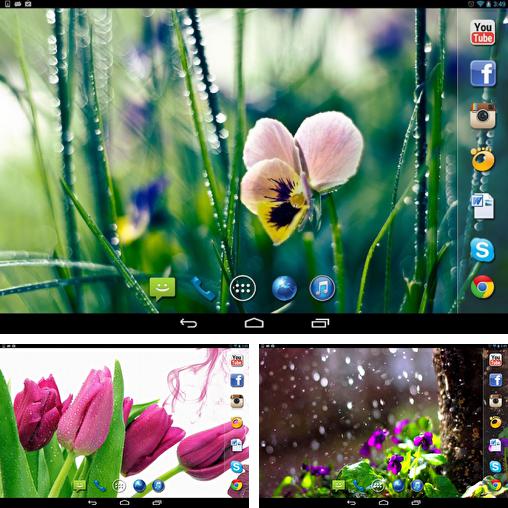 Download live wallpaper Spring rain for Android. Get full version of Android apk livewallpaper Spring rain for tablet and phone.