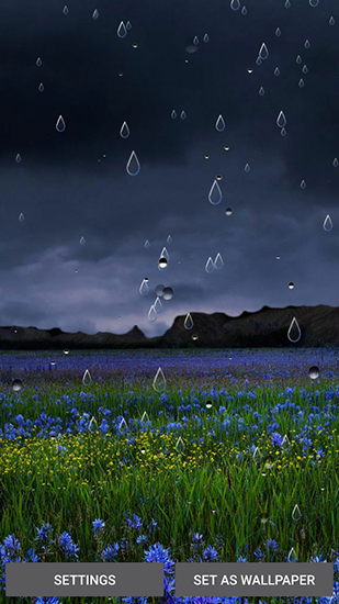 Descarga gratuita fondos de pantalla animados Lluvia de primavera para Android. Consigue la versión completa de la aplicación apk de Spring rain by Locos apps para tabletas y teléfonos Android.