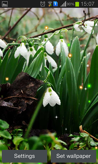 Download livewallpaper Spring snowdrop for Android. Get full version of Android apk livewallpaper Spring snowdrop for tablet and phone.
