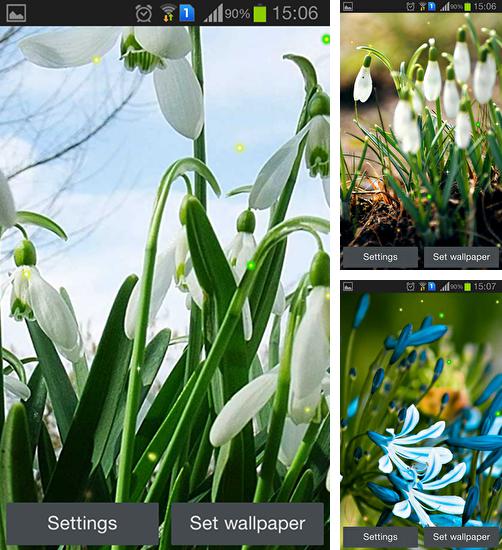 Descarga gratuita fondos de pantalla animados Campanillas verdes de primavera para Android. Consigue la versión completa de la aplicación apk de Spring snowdrop para tabletas y teléfonos Android.