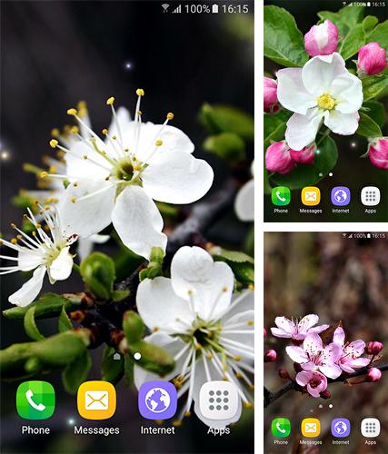 Télécharger le fond d'écran animé gratuit Printemps . Obtenir la version complète app apk Android Springtime pour tablette et téléphone.