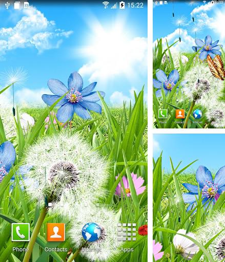 Summer flowers - бесплатно скачать живые обои на Андроид телефон или планшет.