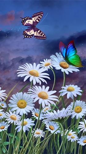 Kostenloses Android-Live Wallpaper Sommer: Blumen und Schmetterlinge. Vollversion der Android-apk-App Summer: flowers and butterflies für Tablets und Telefone.