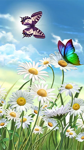 Android タブレット、携帯電話用夏: 花と蝶のスクリーンショット。