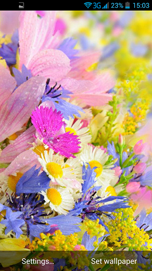 Capturas de pantalla de Summer Flowers by Dynamic Live Wallpapers para tabletas y teléfonos Android.