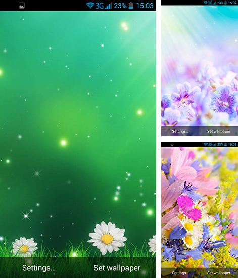 Дополнительно к живым обоям на Андроид телефоны и планшеты Цветы, вы можете также бесплатно скачать заставку Summer Flowers by Dynamic Live Wallpapers.