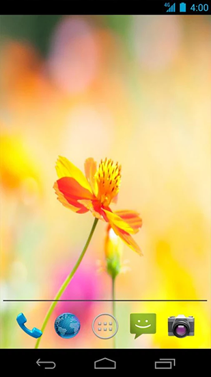 Summer flowers by Mww apps für Android spielen. Live Wallpaper Sommerblumen kostenloser Download.