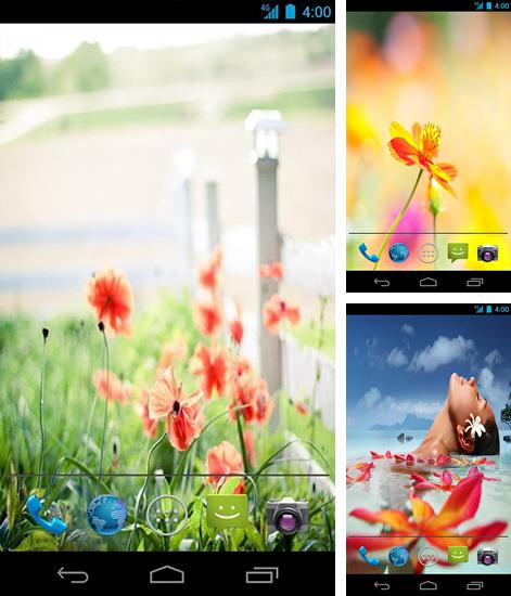 Дополнительно к живым обоям на Андроид телефоны и планшеты Русалка, вы можете также бесплатно скачать заставку Summer flowers by Mww apps.