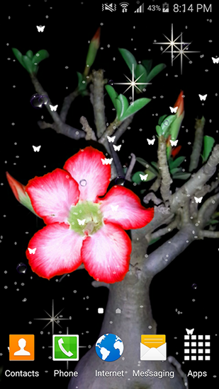 Descarga gratuita fondos de pantalla animados Flores de verano  para Android. Consigue la versión completa de la aplicación apk de Summer flowers by Stechsolutions para tabletas y teléfonos Android.