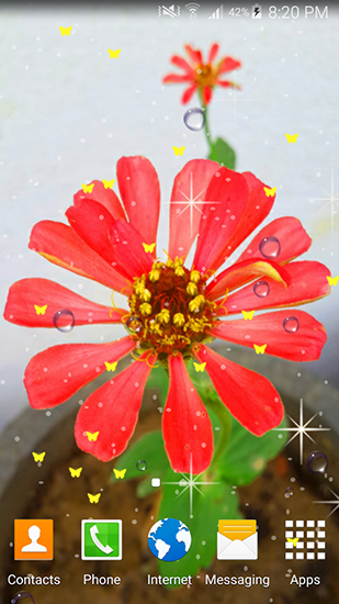 Papeis de parede animados Flores do verão para Android. Papeis de parede animados Summer flowers by Stechsolutions para download gratuito.