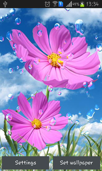 Summer rain: Flowers für Android spielen. Live Wallpaper Sommerregen: Blumen kostenloser Download.