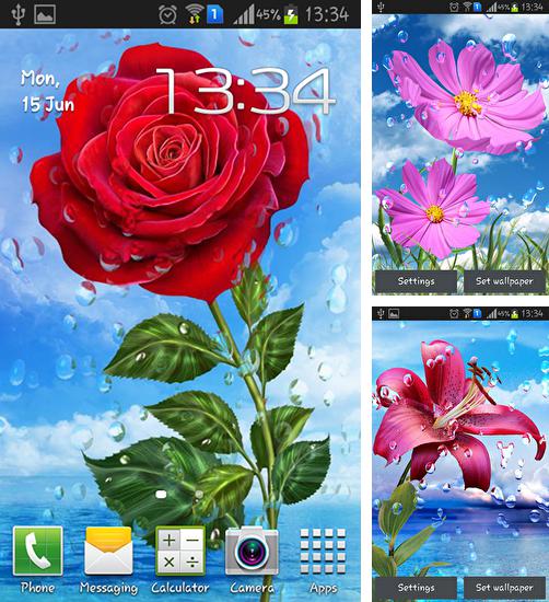Додатково до живої шпалери Новорічна ніч для Android телефонів та планшетів, Ви можете також безкоштовно скачати Summer rain: Flowers.