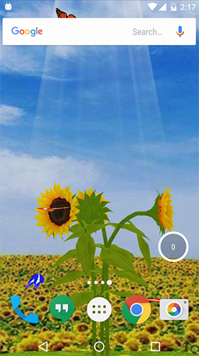 Sunflower 3D - безкоштовно скачати живі шпалери на Андроїд телефон або планшет.