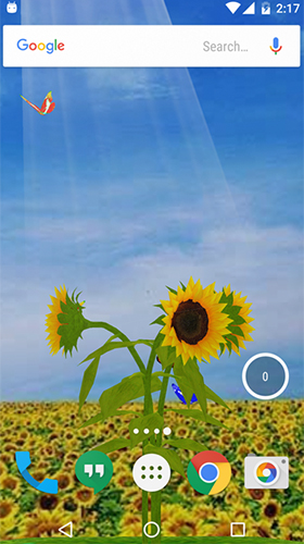 Fondos de pantalla animados a Sunflower 3D para Android. Descarga gratuita fondos de pantalla animados Girasol 3D.