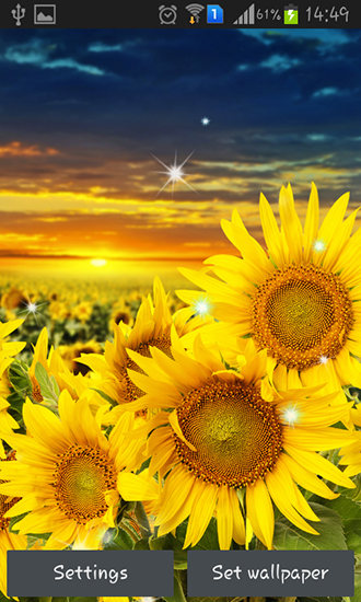 Sunflower by Creative factory wallpapers