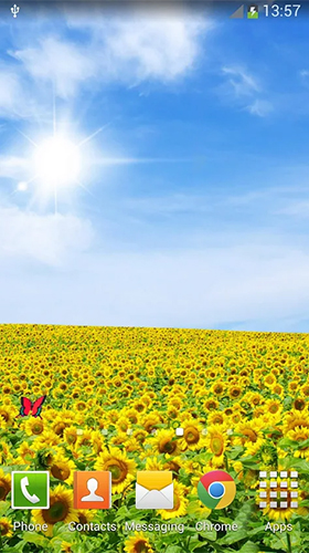 Скріншот Sunflowers. Скачати живі шпалери на Андроїд планшети і телефони.