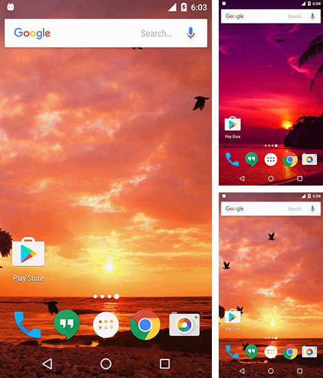 Додатково до живої шпалери Павук в телефоні для Android телефонів та планшетів, Ви можете також безкоштовно скачати Sunset by Twobit.