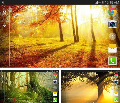 Zusätzlich zum Live Wallpaper TagNacht für Android Mobiltelefone und Tablets, können Sie auch Sunshine, Sonnenschein kostenlos herunterladen.